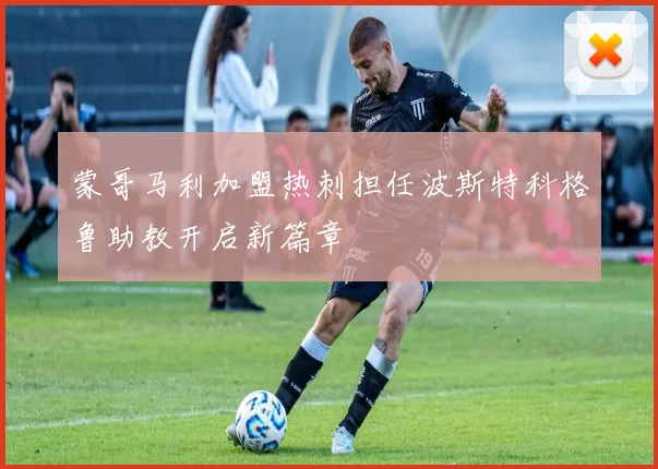 蒙哥马利加盟热刺担任波斯特科格鲁助教开启新篇章